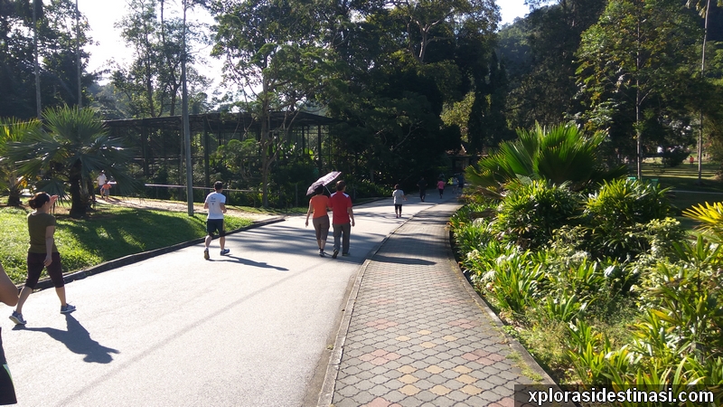 Aktiviti riadah bersenam di Taman Botani Pulau Pinang