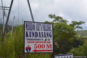 mesilou-cat-village-kundasang