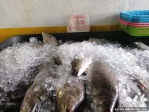 makan-seafood-restoran-nelayan